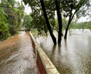 Mangaluru’s Pilikula Zoo closed for visitors due to flooding